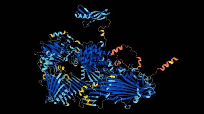 La IA predice la estructura de casi todas las proteínas conocidas por la ciencia