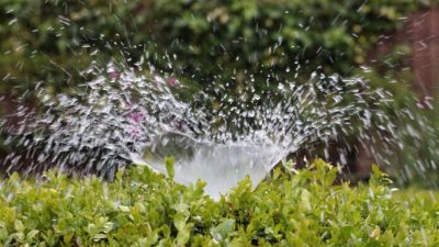 Agua sólida para combatir las sequías