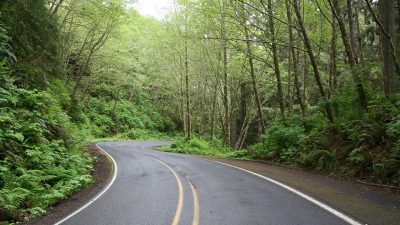 Día Mundial de la Carretera / contra el Fracking / del Dulce de Leche