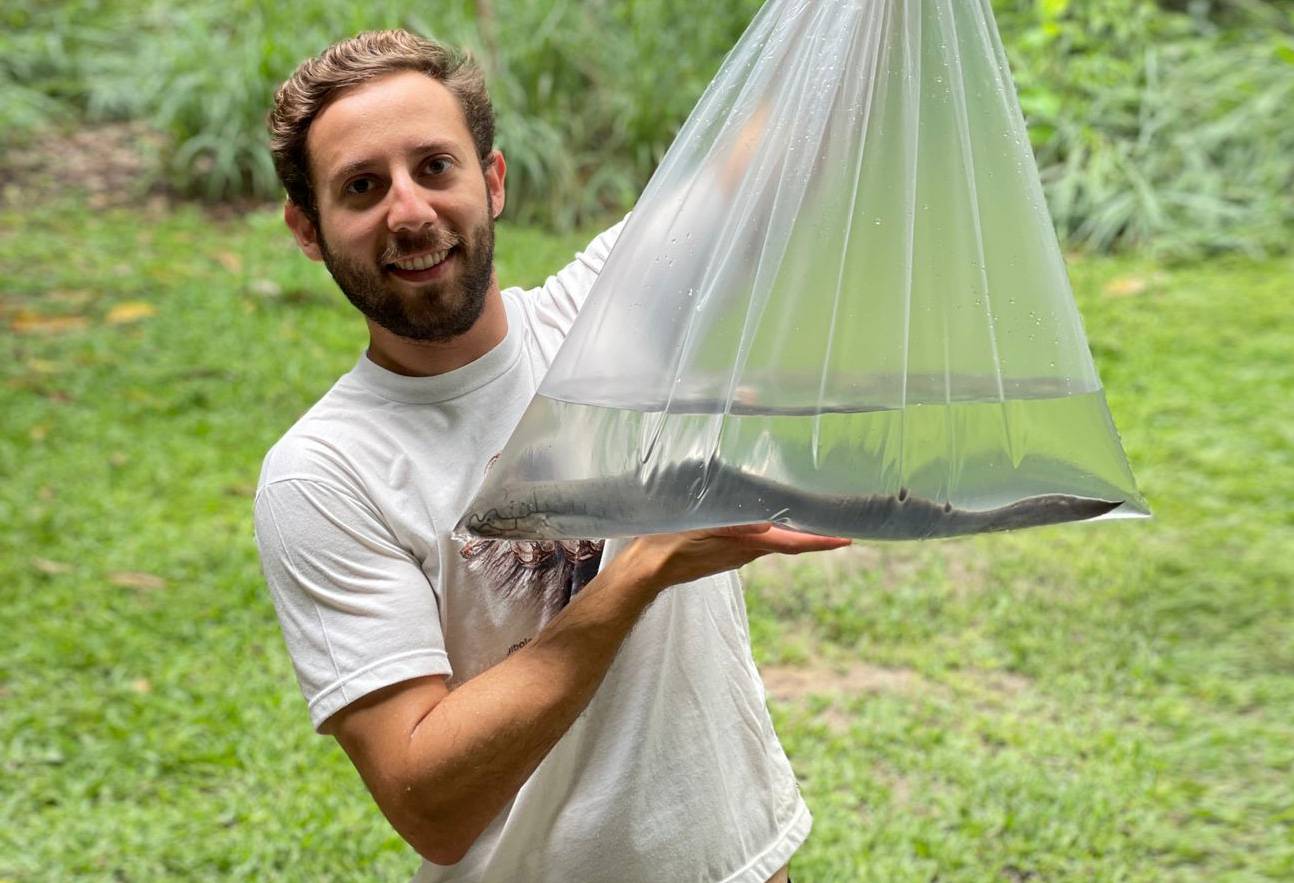Grabaciones inéditas de animales revelan los orígenes de la comunicación vocal en los vertebrados