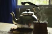 Descubren propiedades de la yerba mate que podrían ser preventivas del cáncer de próstata