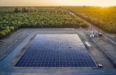 Parques solares con los paneles montados directamente en el suelo, la nueva idea para reducir hasta un 20% los costes de la energía