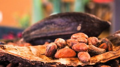 Día Nacional del Cacao