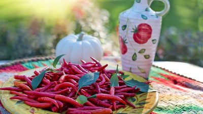 Día Internacional de la Croqueta / de la Comida Picante