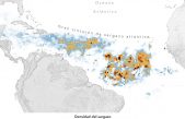 Enorme proliferación de algas marinas en el Atlántico