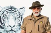La India celebra los 50 años del Proyecto Tigre