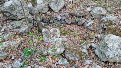 Descubren Ocomtún, una misteriosa ciudad maya escondida entre la selva de Campeche