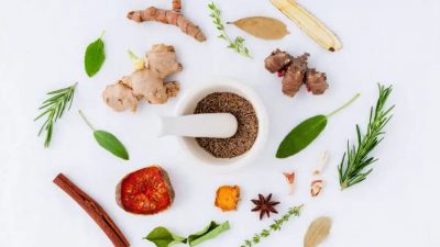 Los orígenes de los herbolarios y su misión: Un vistazo a la medicina herbal tradicional
