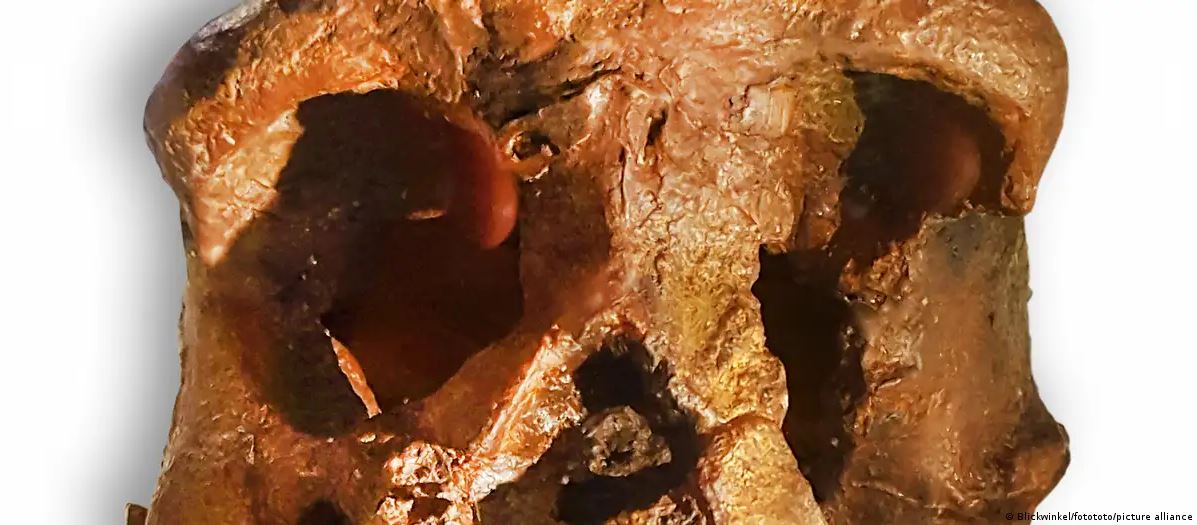 Cráneo hallado en China sería de linaje humano desconocido