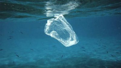 Bacteria manipulada genéticamente para que descomponga el plástico que flota en el mar