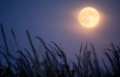 Por qué la Luna de octubre es tan especial y bonita