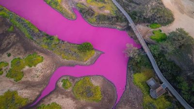 No es la piscina de Barbie, pero podría: este estanque de Hawái es de color rosa y te contamos por qué