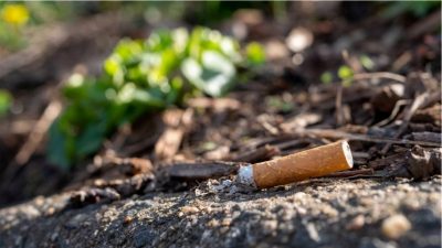 Científicos lituanos revolucionan la creación de combustible sostenible con restos de cigarrillos