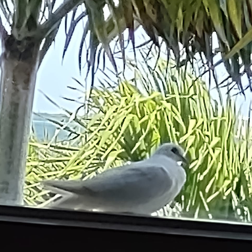 Misa recordando a El Profe Morales a un mes de su partida